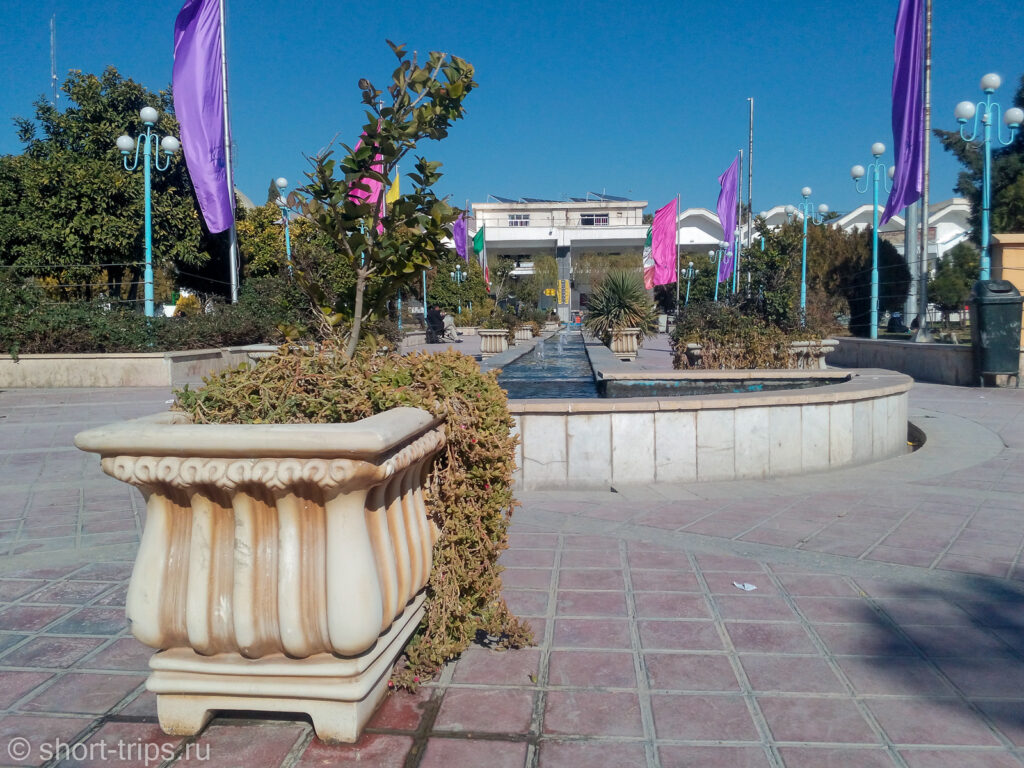 Shiraz